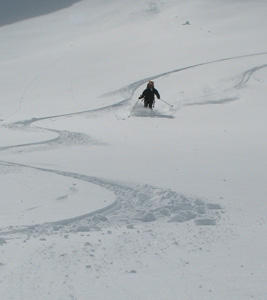 altimeter-skiing On this day the snow above 2000m was fantastic, below 1900m was wet. In between was so-so.