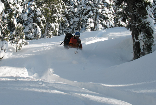 Skiing trees in deep snow at Coquihalla.