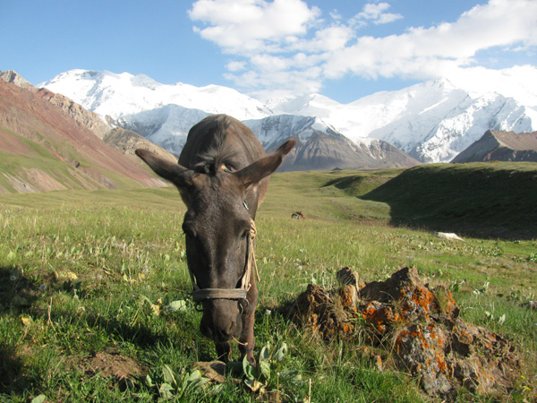 Are we in Canada, New Zealand, or Switzerland? It's Kyrgyzstan, dude.