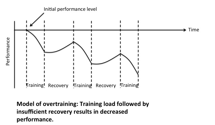 Model of overtraining